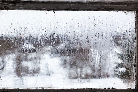 Defogging Double Pane Windows in Bellview, FL